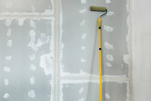 Best Post-Construction Mold Inspection  in Cedarhurst, NY