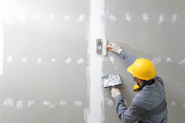 Best Mold Removal for HVAC Installations  in Cedarhurst, NY