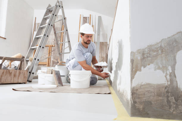 Best Emergency Mold Remediation  in Cedarhurst, NY