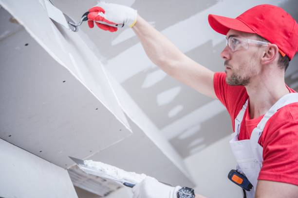 Best Basement Mold Removal  in Cedarhurst, NY